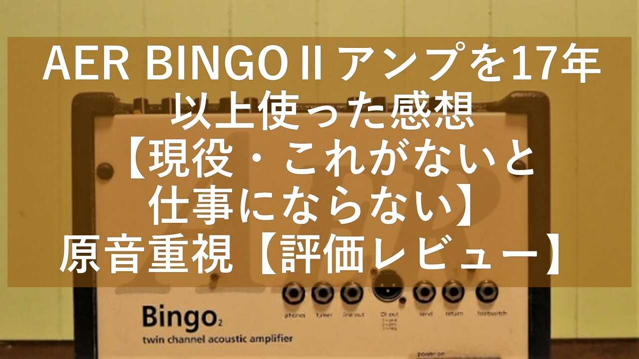 AER BINGOⅡアンプを17年以上使った感想【現役・これがないと仕事にならない】原音重視【評価レビュー】 | ナオク naoq